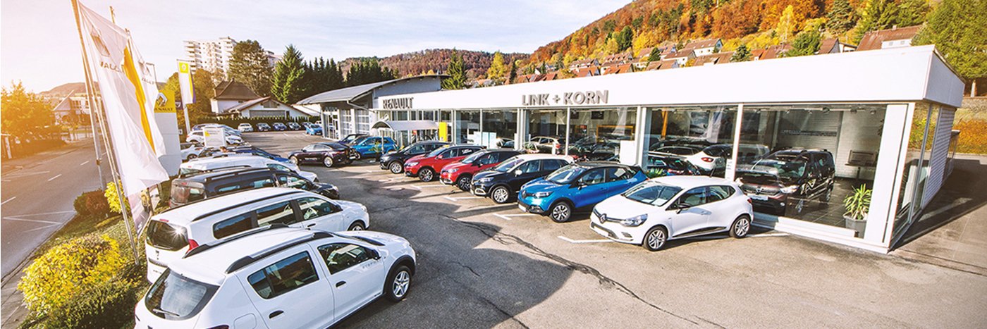 Autohaus mit einer Vielzahl von Fahrzeugen im Freien, umgeben von herbstlichen Bäumen.
